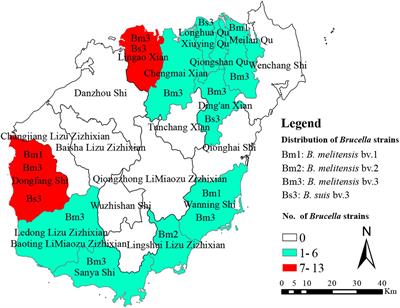 Molecular Characteristics of Brucella Isolates Collected From Humans in Hainan Province, China